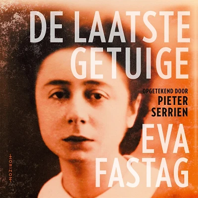De laatste getuige cover