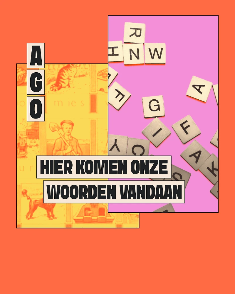 Alle Geschiedenis Ooit cover