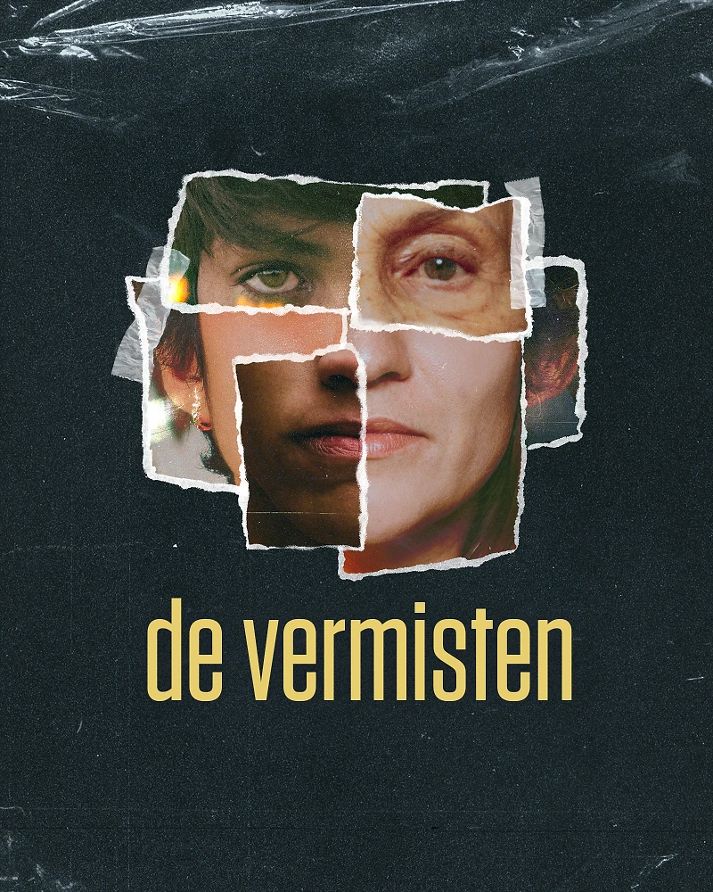 De Vermisten cover