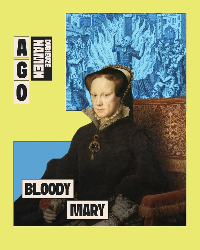 Alle Geschiedenis Ooit cover
